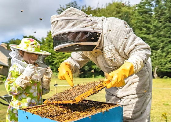 Baptême d'apiculture