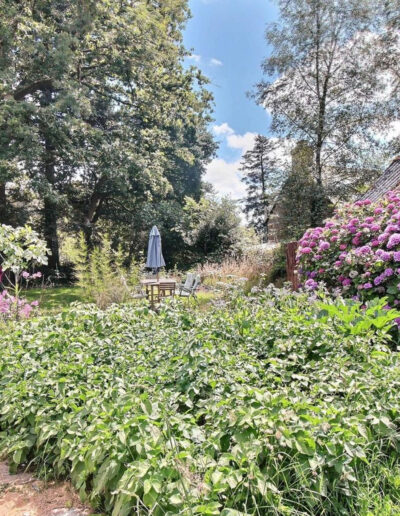 Plantes jardin