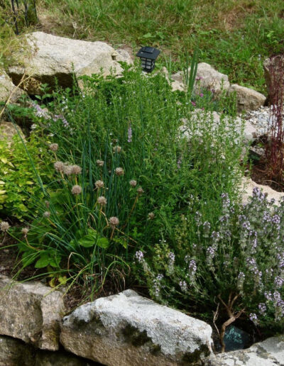 Jardin aromatique