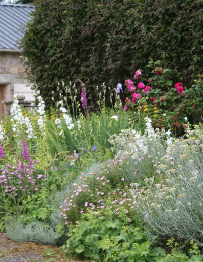 Fleurs du jardin